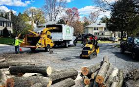 Best Lawn Pest Prevention  in Latta, SC